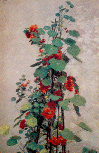 still life Fantin Latour:Still Life: Nasturtiums: 1880